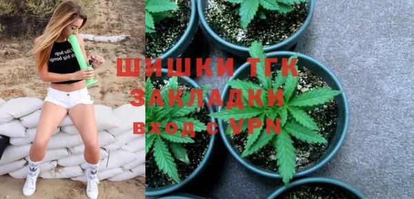 индика Лихославль