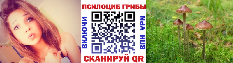 Галлюциногенные грибы MAGIC MUSHROOMS  МЕГА как зайти  Гусиноозёрск 